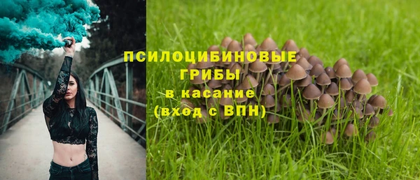 каннабис Арсеньев
